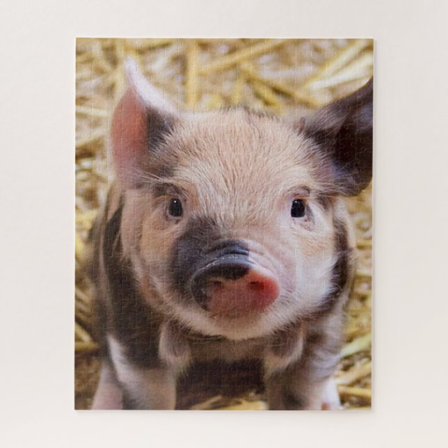 Sweet piglet jigsaw puzzle (Vertical)