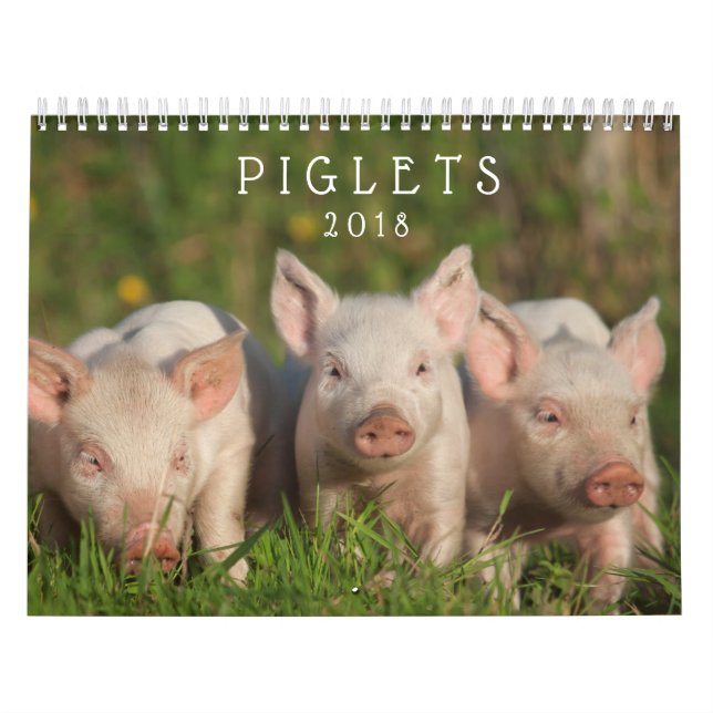Sweet Piglets 2018 - Baby Pigs Wall Calendar (Cover)