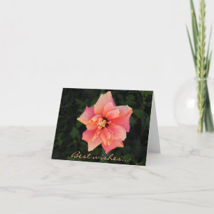 Sweet Pink Hibiscus Flower Custom Text Card