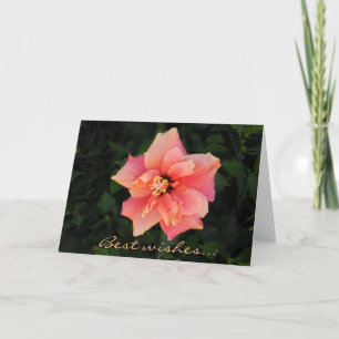 Sweet Pink Hibiscus Flower Custom Text Card