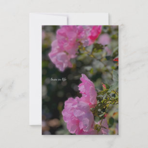 Sweet Pink Roses Card