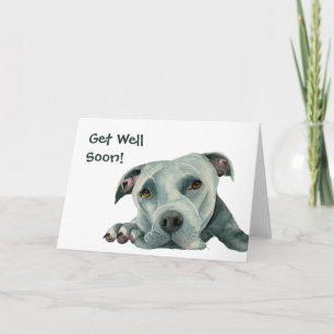 Sweet Pit Bull Dog   Get Well Soon Card