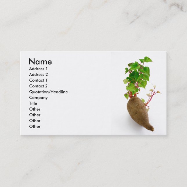 Sweet potato plant sprouts business card (Front)