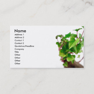 Sweet potato sprouts business card