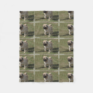 Sweet Pug Dog Fleece Blanket