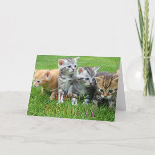 Sweet puppies kitties photo card