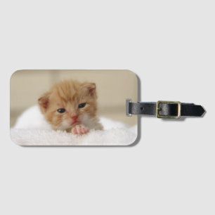 Sweet puppy kitty luggage tag