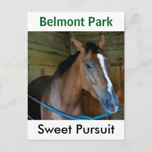 Sweet Pursuit by Posse Postcard