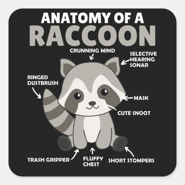 Sweet Racoon Explanation Anatomy Of A Racoon Square Sticker (Front)