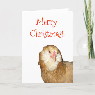 Sweet Rare Wheaten Ameraucana Hen Merry Christmas! Holiday Card