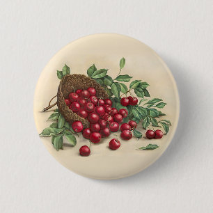 Sweet Red Cherries 6 Cm Round Badge