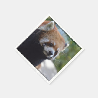 Sweet Red Panda Bear Napkin