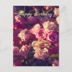 Sweet red roses personalised  postcard