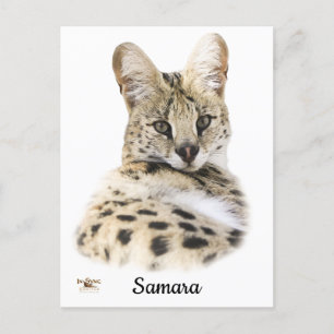 Sweet Samara Postcard