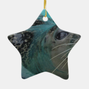 Sweet Seal Ceramic Tree Decoration