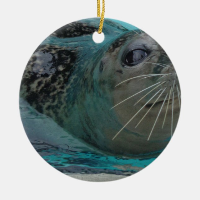 Sweet Seal Ceramic Tree Decoration (Front)