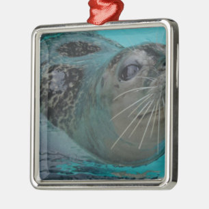 Sweet Seal Metal Tree Decoration