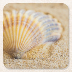 Sweet Seashell Square Paper Coaster