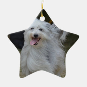 Sweet Sheepdog Ceramic Tree Decoration