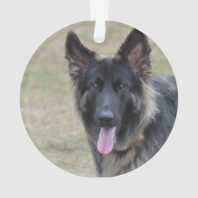 Sweet Shiloh Shepherd Ornament (Back)