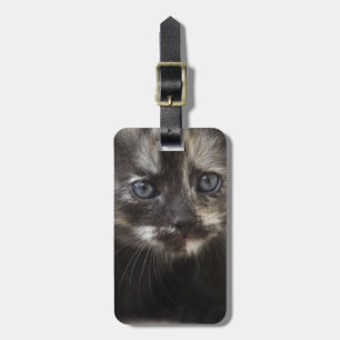 Sweet Shy Tortoiseshell Baby Luggage Tag