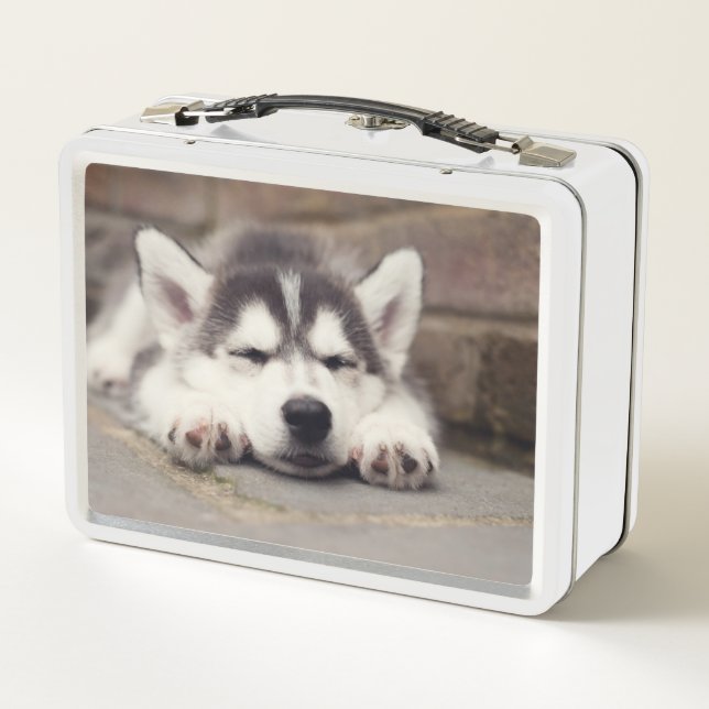 Sweet Siberian Husky Puppy Sleeping Metal Lunch Box (Back)