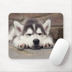 Sweet Siberian Husky Puppy Sleeping Mouse Pad