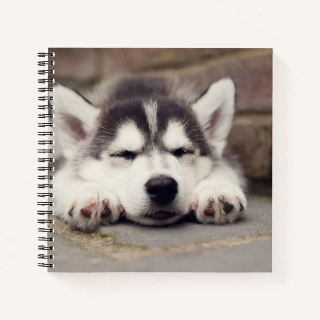 Sweet Siberian Husky Puppy Sleeping Notebook (Front)