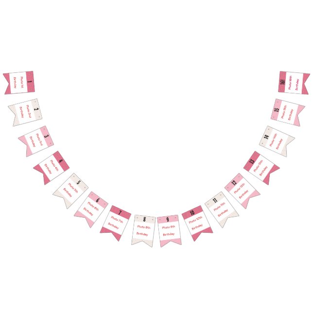 Sweet Sixteen Photo Bunting (All)