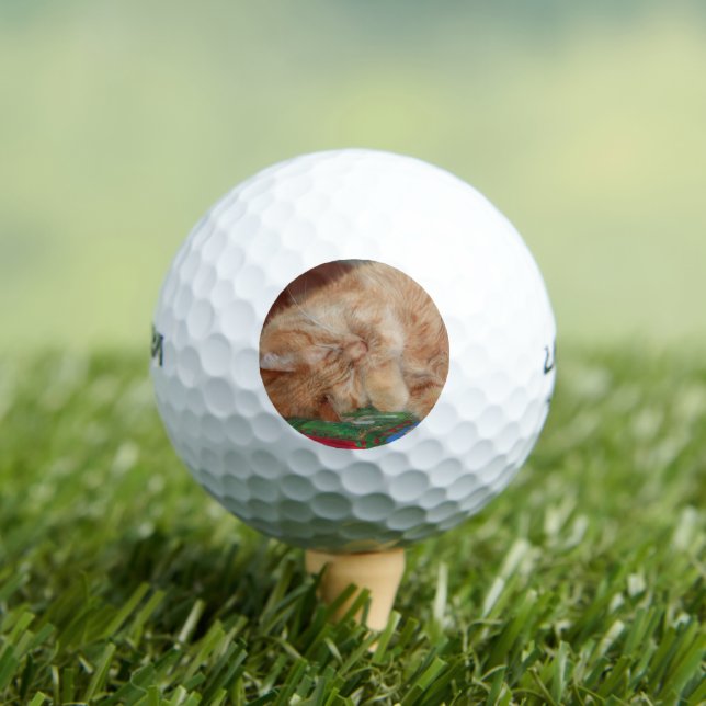 Sweet Sleeping Ginger Boy Golf Balls (Insitu Tee)