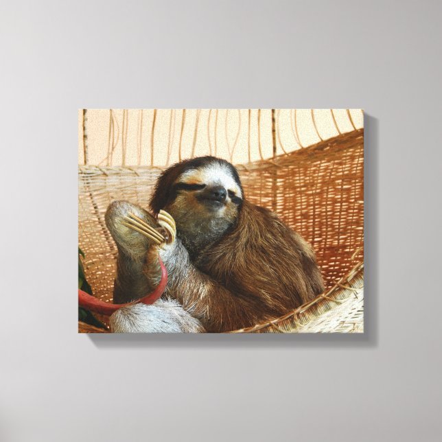 Sweet Sloth Canvas Print (Front)