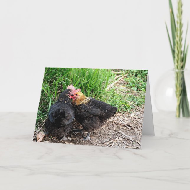 Sweet Snuggling Chickens Photography Custom Card (Front)