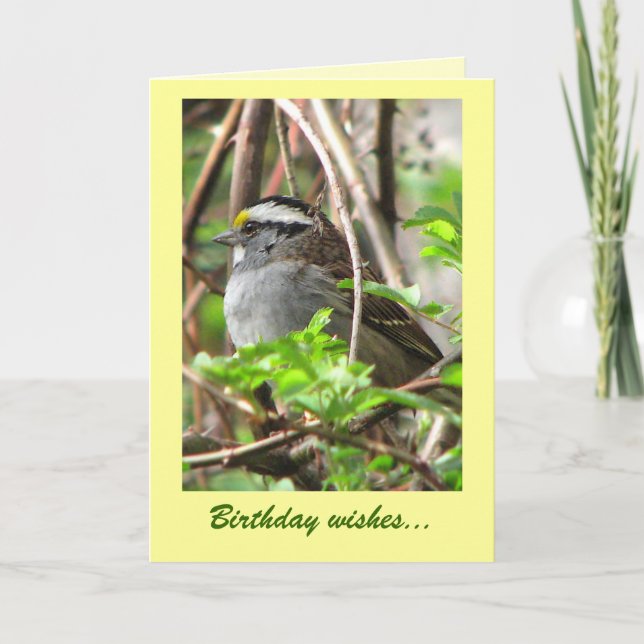 Sweet Sparrow Birthday Card (Front)