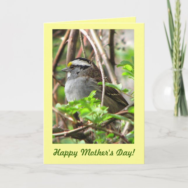Sweet Sparrow for Mother's Day Card (Front)