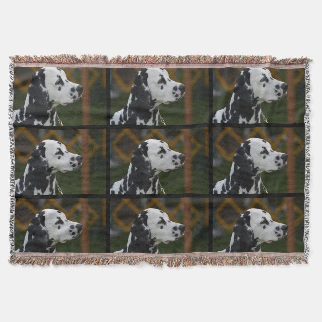 Sweet Spotted Dalmatian Throw Blanket (Front)