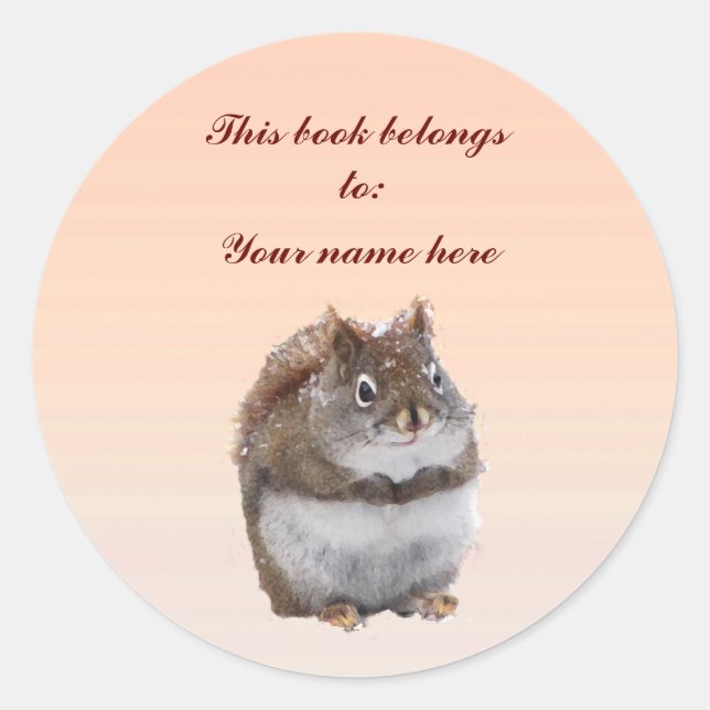 Sweet Squirrel Bookplate Classic Round Sticker (Front)