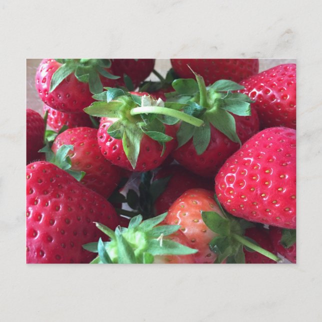 Sweet Strawberries Postcard (Front)