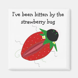 Sweet Strawberry Bug Magnet