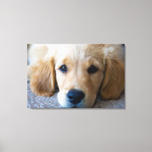 Sweet, Sweet Puppy Canvas Print