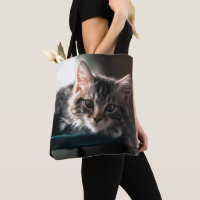Sweet Tabby