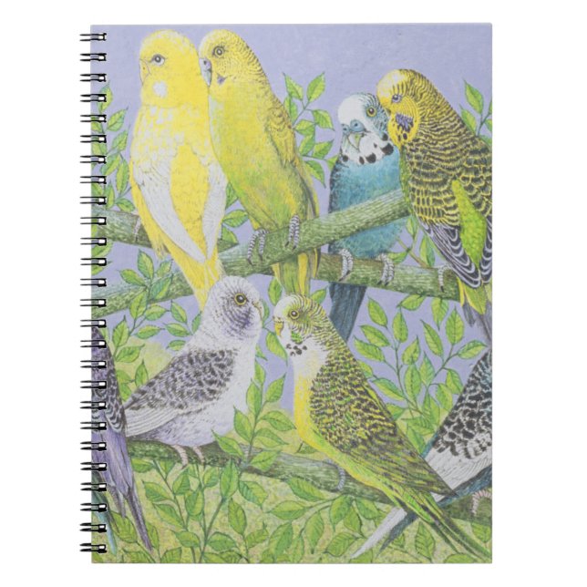 Sweet Talking Notebook (Front)