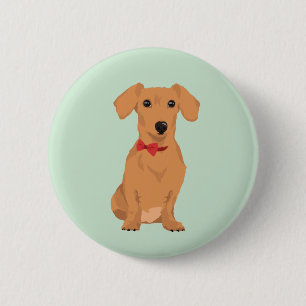 Sweet Tan Dachsund with Neck Ribbon for Dog Lovers 6 Cm Round Badge