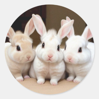 Sweet Trio of Fluffy Bunnies Classic Round Sticker