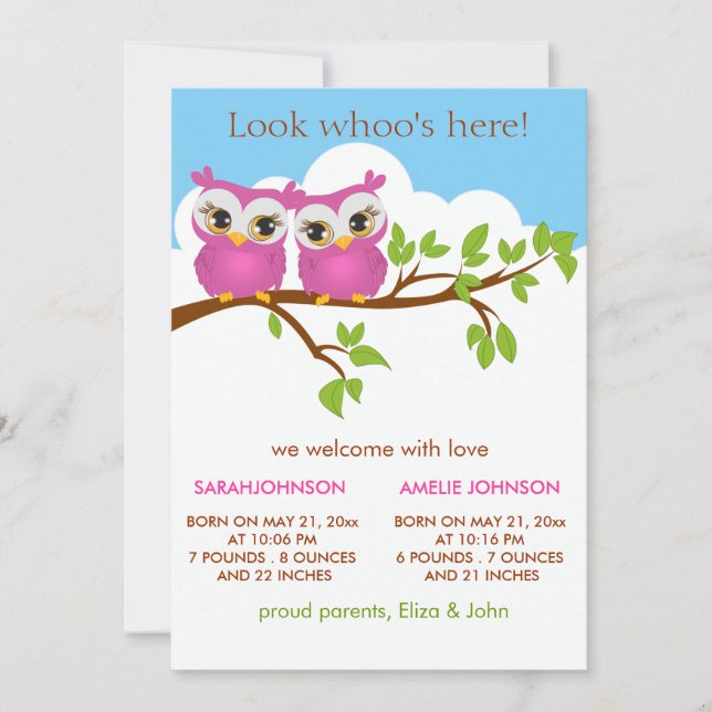 Sweet Twins Owls Baby Girl Birth Announcement Card (Front)