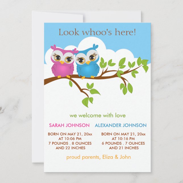 Sweet Twins Owls Baby Girl Boy Birth Announcement (Front)