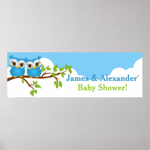 Sweet Twins Owls Boy Baby Shower Banner Poster