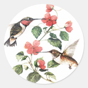 Sweet Vintage Floral Hummingbirds Pair Classic Round Sticker