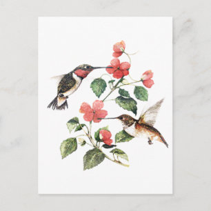Sweet Vintage Floral Hummingbirds Pair Postcard