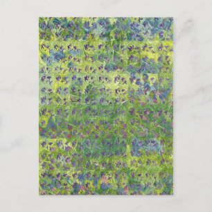 Sweet Violets 2012 Postcard