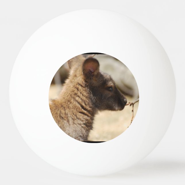Sweet Wallaby Ping Pong Ball (Front)
